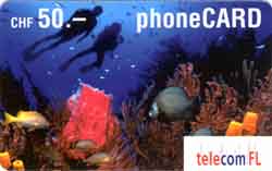 Carte Telecom FL FL22 - face