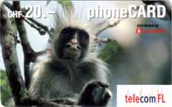 Carte Telecom FL FL25 - face